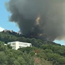 Maltepe'de orman yangını