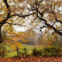 Türkiye: L'automne autour d'Istanbul