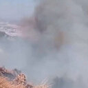 Gaziantep'te orman yangını