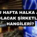 Bu hafta halka arz olacak şirketler hangileri? 12 Aralık 2023