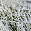 Hafta sonu kar topladı yeni haftada lapa lapa geliyor: Beş derece daha düşüyor