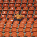 CAN 2024: Des "mesures" pour remplir les stades