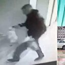 Vahşetin adresi İzmir: Sokaktan topladığı dört kediyi öldürüp bahçesine atmıştı! Valilikten açıklama
