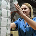 Rusya dolar ve sterlinden sonra avro varlıklarını da sıfırladı