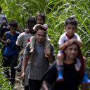 Plus d'un demi-million de migrants ont franchi la jungle du Darien en 2023 en route vers les États-Unis