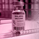 Cameroun: lancement de la première vaccination systématique au monde contre le paludisme