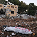 Effroyables images de dépouilles de Palestiniens tués à Khan Younès, mangées par des animaux errants