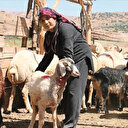 Depremzede üreticiler yüksek verimden memnun
