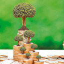 Sukuk pazarından daha fazla pay alacağız: Yeşil bono teşvik edilecek