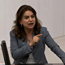 DEM Partili isimden Meclis'te Kürdistan skandalı