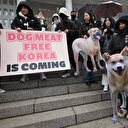 La Corée du Sud vote l'interdiction de la viande de chien