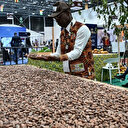 Côte d'Ivoire: le prix du cacao fixé à un niveau record