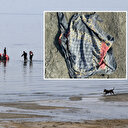 Rojin'i arama çalışmalarında son durum: Aramalar başörtüsünün bulunduğu bölgede yoğunlaştırıldı