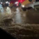 İstanbul'da cadde ve sokaklar sağanak yağışa teslim oldu: Evlerin içine yağmur suyu aktı