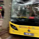 Bahçelievler’de İETT otobüsü ağaca çarptı