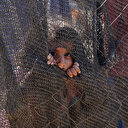 "C'est un massacre, une extermination", témoignage bouleversant d'un médecin de retour de Gaza