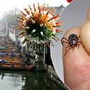 Çin'de yeni bir virüs keşfedildi: Bu belirtilere dikkat