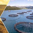 Bakan Yumaklı: Tarım ve baIıkçılık işletmeleri için 1,9 milyar liralık hibe desteği