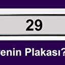 29 plaka nerenin plakası? 29 plaka kodu neresi, hangi il?