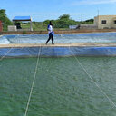 Au Sénégal, l'aquaculture cherche son cap