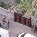 57 ilde 'Narkoçelik-41' operasyonu: Yaklaşık 1 ton uyuşturucu madde ele geçirildi