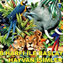 B ile başlayan hayvanlar hangileri? B harfiyle başlayan hayvan isimleri...