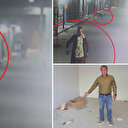 Hatay'da akılalmaz olay: Yavru kedileri köpeklere parçalattı