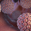 Dünyada en yaygın görülen virüs: HPV'nin 200 farklı türü var