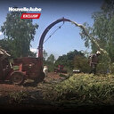 ‘’Sambo de Dayoubsi’’: la ferme laitière qui veut révolutionner le secteur au Burkina