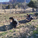 Adana'da hasat başladı gramı 500 TL: Altın değerinde faydaları saymakla bitmiyor