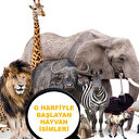 G harfiyle başlayan hayvan isimleri