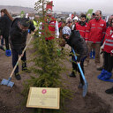 Cumhurbaşkanı Erdoğan 'ağaçlandırma' çağrısı yapmıştı: Ankara'da fidanlar Gazze için toprakla buluştu