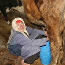 79 yaşındaki Dilber nine çalışmadan duramıyor: Alışmışım bırakamıyorum