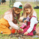 Fidanlar Gazze için toprakla buluştu