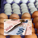 Fırsatçılar söylenti yayarak yumurtanın kolisini 140 TL'ye çıkardı: Ticaret Bakanlığı harekete geçti