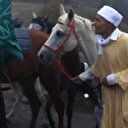 İspanyol Müslümanların at sırtındaki hac yolculuğu başladı