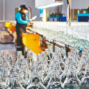 Çevre Ajansı'na depozitolu gelir