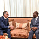 Afrique: Le rapport sur la reconfiguration du dispositif militaire français présenté à Macron