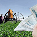 Tarım ve Orman Bakanlığı duyurdu: Kırsal kalkınma desteklerinde proje tamamlama süresi uzatıldı