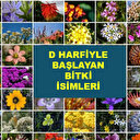 D ile başlayan bitki isimleri hangileri?