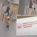 7 yaşındaki çocuk oyun oynarken saldırıya uğramıştı: Bakanlık harekete geçti