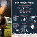 Areda Piar Türk halkına sordu: İnek sütü mü bitkisel sütler mi daha sağlıklı?