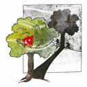 Büyük güç olma yolunda Türkiye