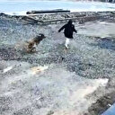 Markete giden küçük kız sahipsiz köpeğin saldırısına uğradı