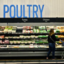 Grippe aviaire: de récentes contaminations suscitent l'inquiétude aux Etats-Unis