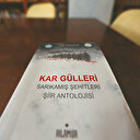 Beş ülkenin şairinden Sarıkamış şehitlerine şiir