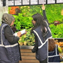 Ticaret Bakanlığı'ndan 'fahiş fiyat' denetimi: Gramaj bilgisi vermeyenlere ceza yağdı