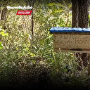 Restauration des paysages forestiers au Bénin: Les chasseurs de miel mis à contribution