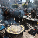 Gouvernement de Gaza: les Palestiniens du nord de l'enclave ne trouvent même pas de fourrage pour se nourrir