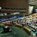 ONU: Les rapporteurs appellent tous les pays à autoriser les manifestations pacifiques de soutien à Gaza